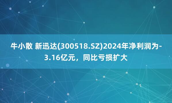 牛小散 新迅达(300518.SZ)2024年净利润为-3.16亿元，同比亏损扩大